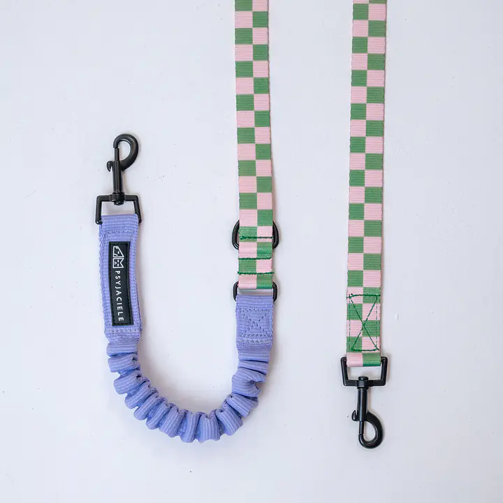 Smycz przepinana z amortyzatorem dla psa lub kota "Świat zza krat taki kolorowy"  - Master