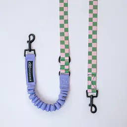 Smycz przepinana z amortyzatorem dla psa lub kota "Świat zza krat taki kolorowy" - Master
