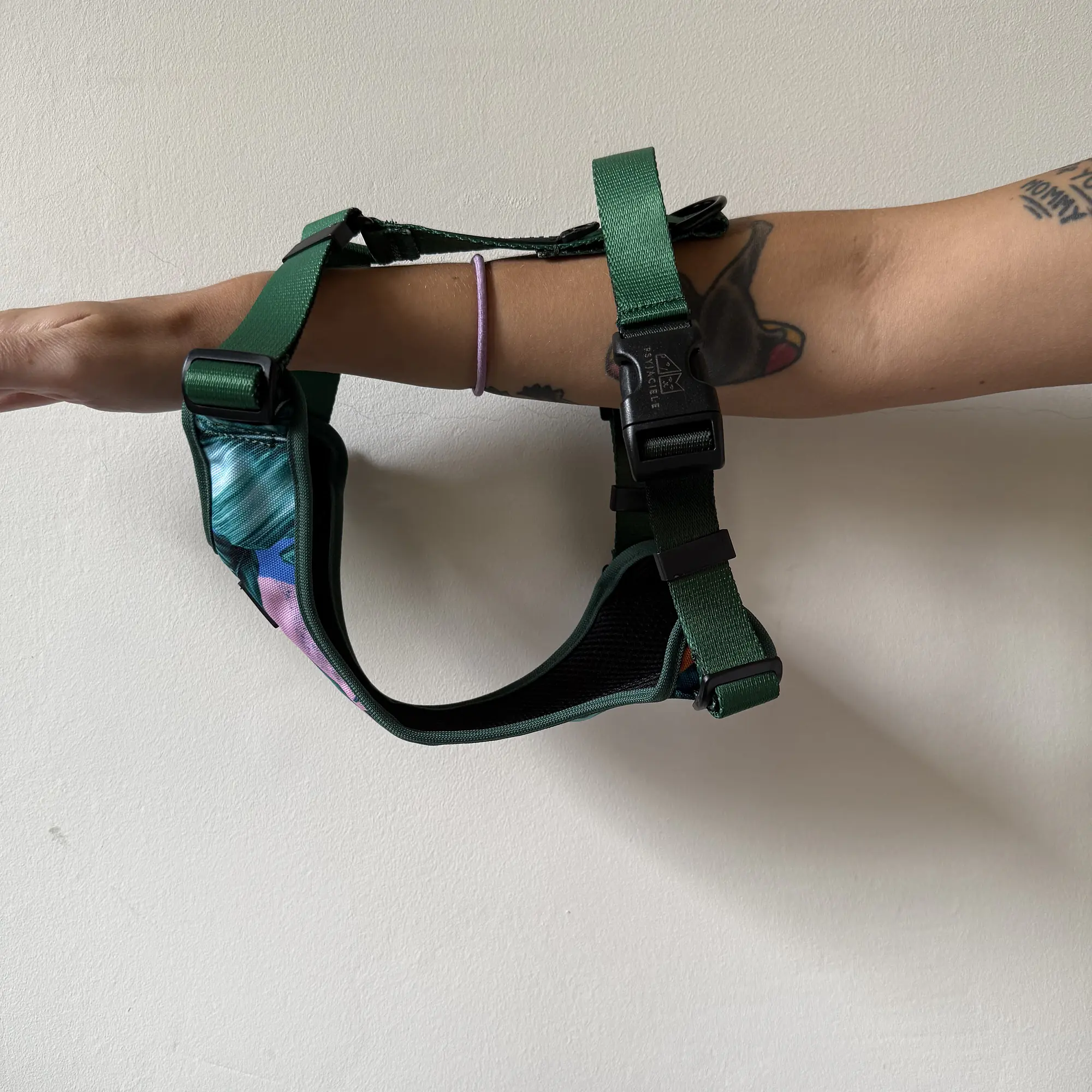 WYPRZEDAZ Szelki bezuciskowe dla psa lub kota "Mokry sen kury" + "Ombre zieleń" - Master