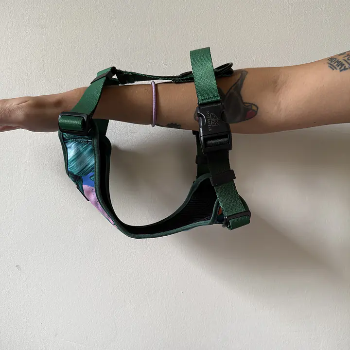 WYPRZEDAZ Szelki bezuciskowe dla psa lub kota "Mokry sen kury" + "Ombre zieleń" - Master