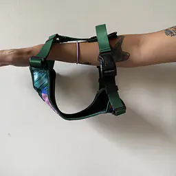 WYPRZEDAZ Szelki bezuciskowe dla psa lub kota "Mokry sen kury" + "Ombre zieleń" - Master