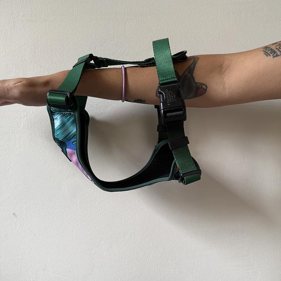 WYPRZEDAZ Szelki bezuciskowe dla psa lub kota "Mokry sen kury" + "Ombre zieleń"