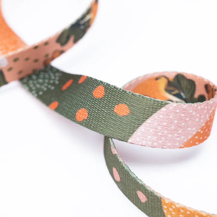 Adjustable leash with shock absorber "Play with my nuts" - Master